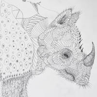 drawing, rhinoceros, contemporary art, collection, highlights, best art